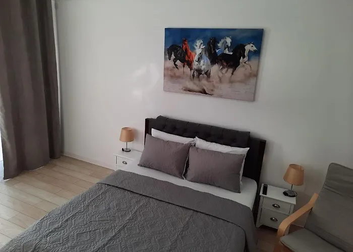 Luxury City Center Apartment - Garofita Romana
