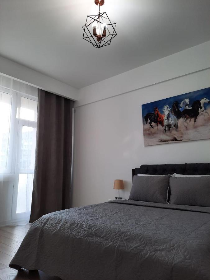 Apartamento Luxury Center - Garofita Romana *